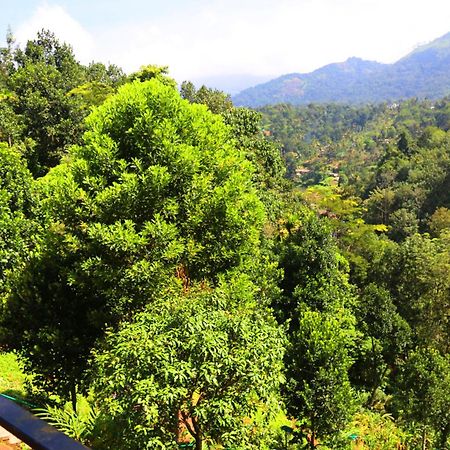 Green Magic Riverside Resort Munnar Ngoại thất bức ảnh