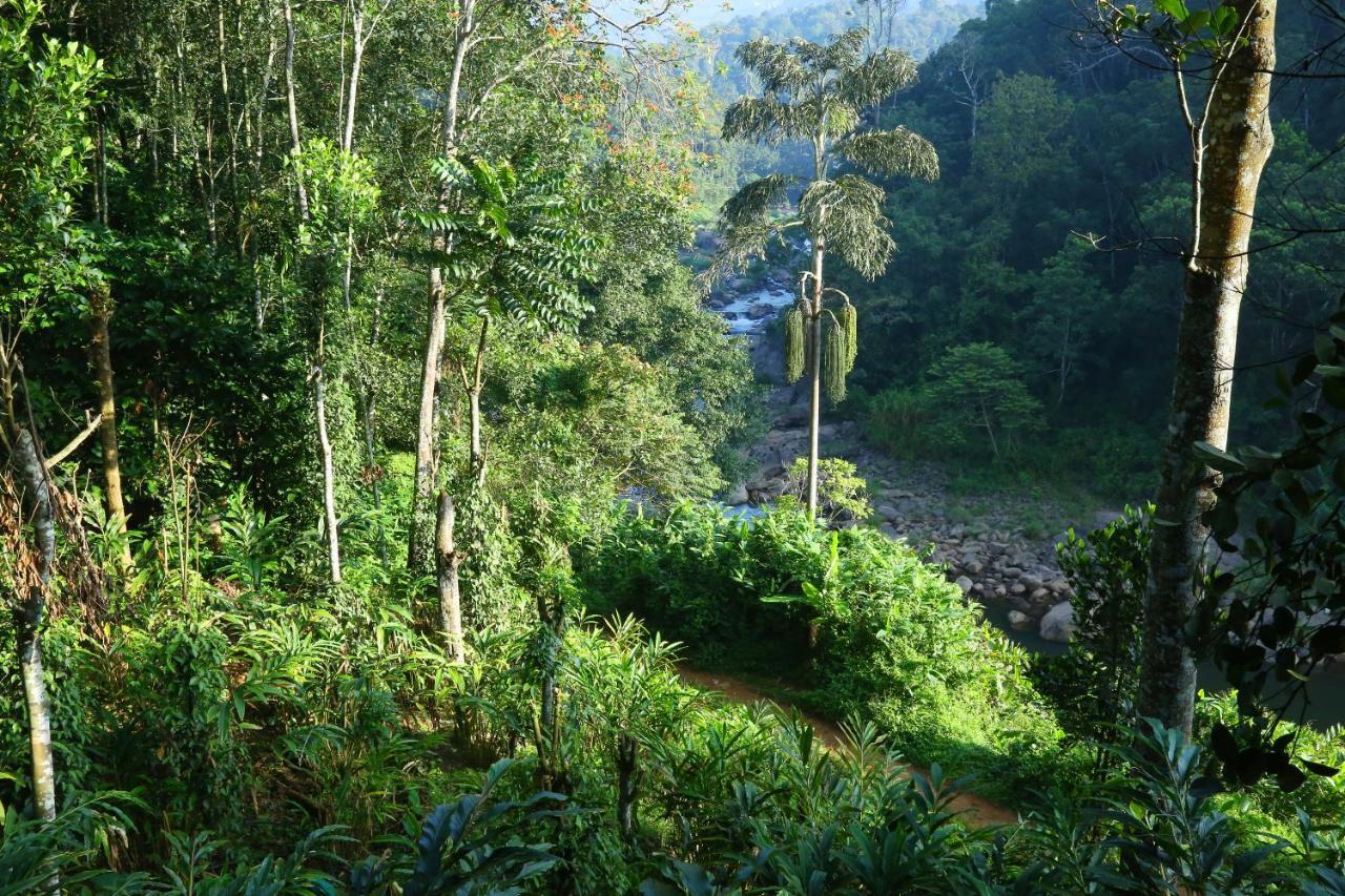 Green Magic Riverside Resort Munnar Ngoại thất bức ảnh