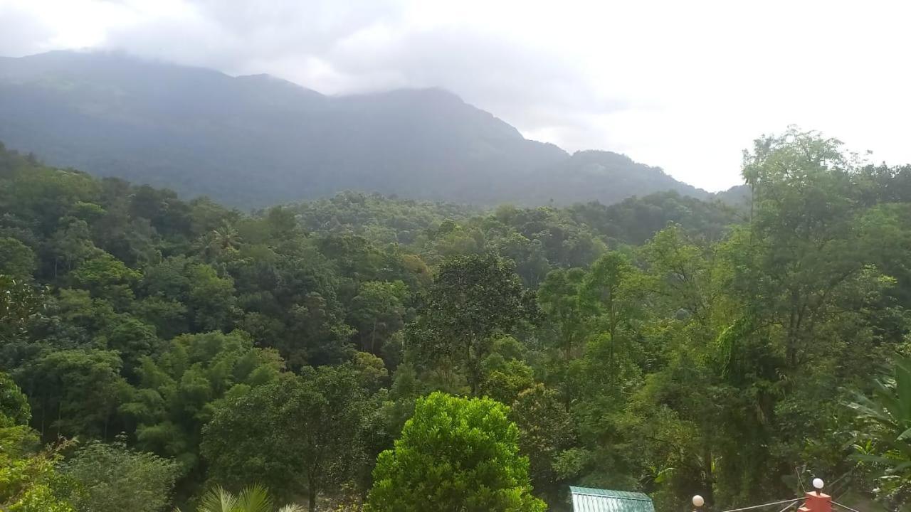 Green Magic Riverside Resort Munnar Ngoại thất bức ảnh