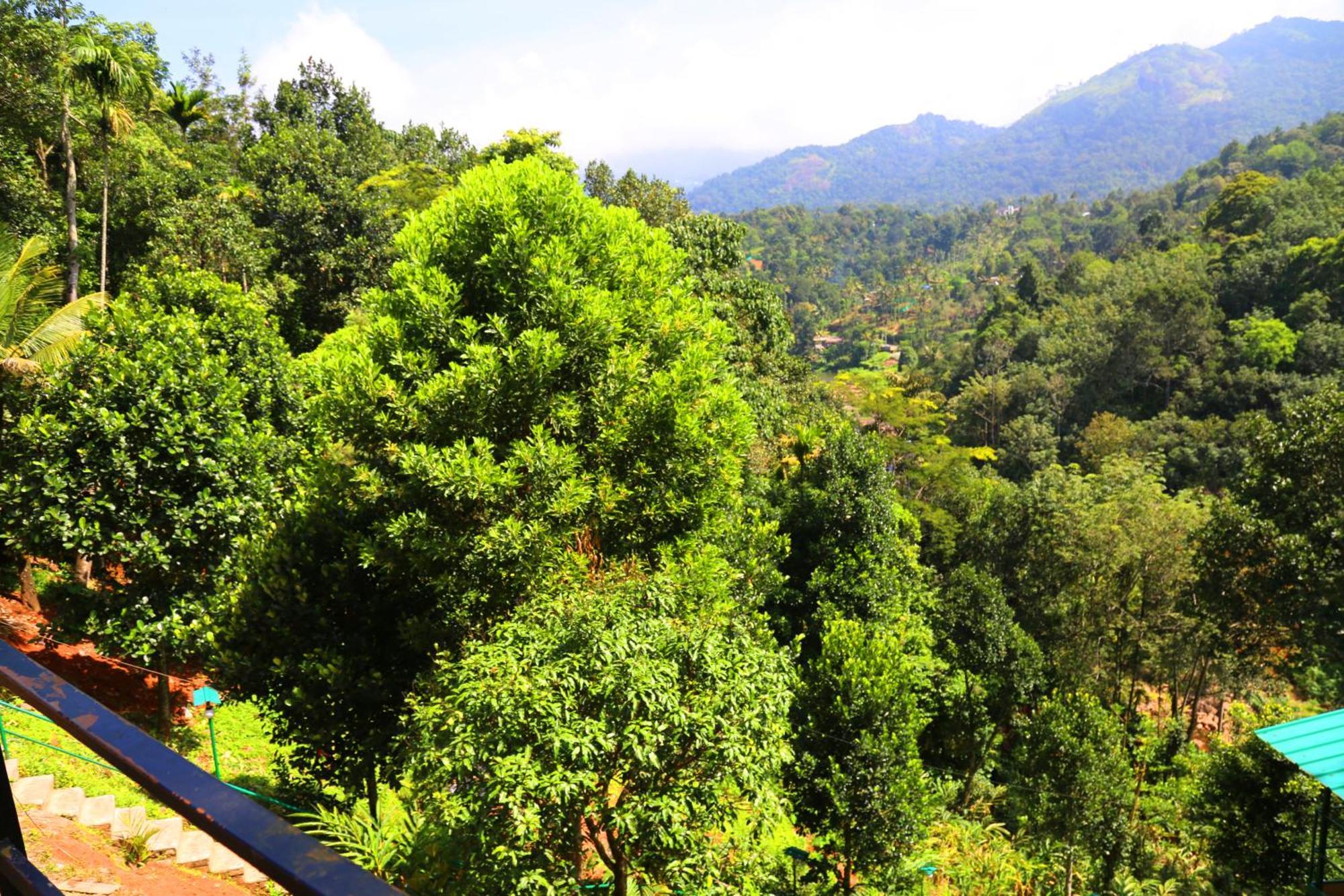 Green Magic Riverside Resort Munnar Ngoại thất bức ảnh